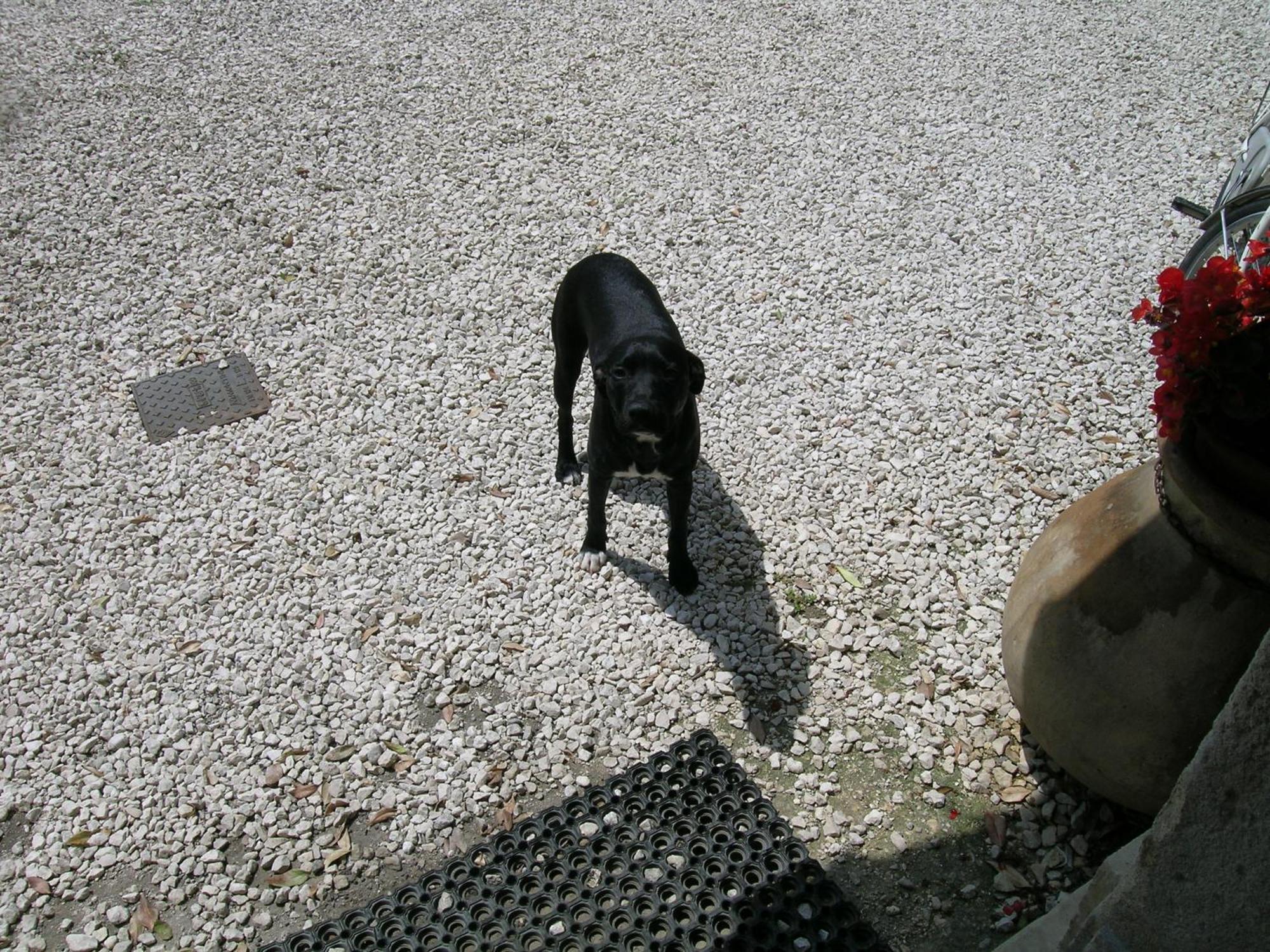 Willa I Costanti Caldiero Zewnętrze zdjęcie